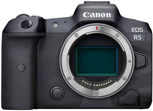 best cameras for content creators canon eos r5